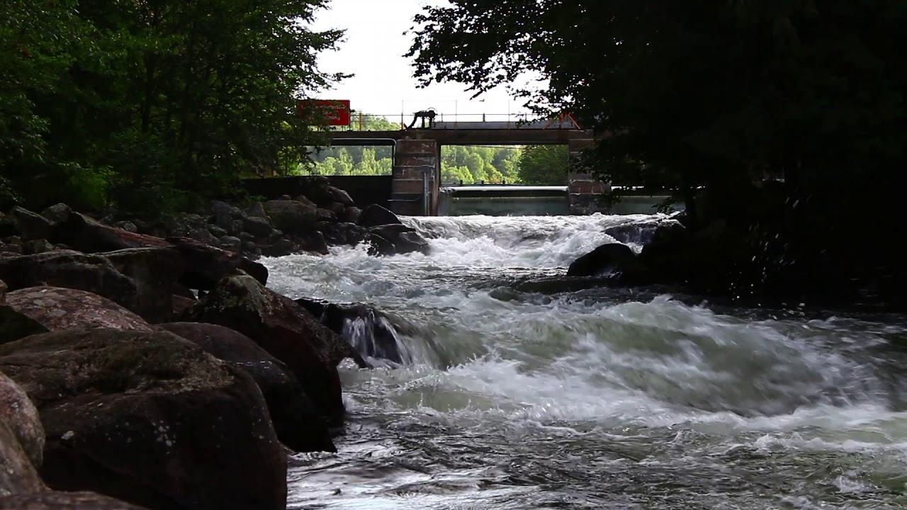 Cottage Life - Gull River - Whitewater View