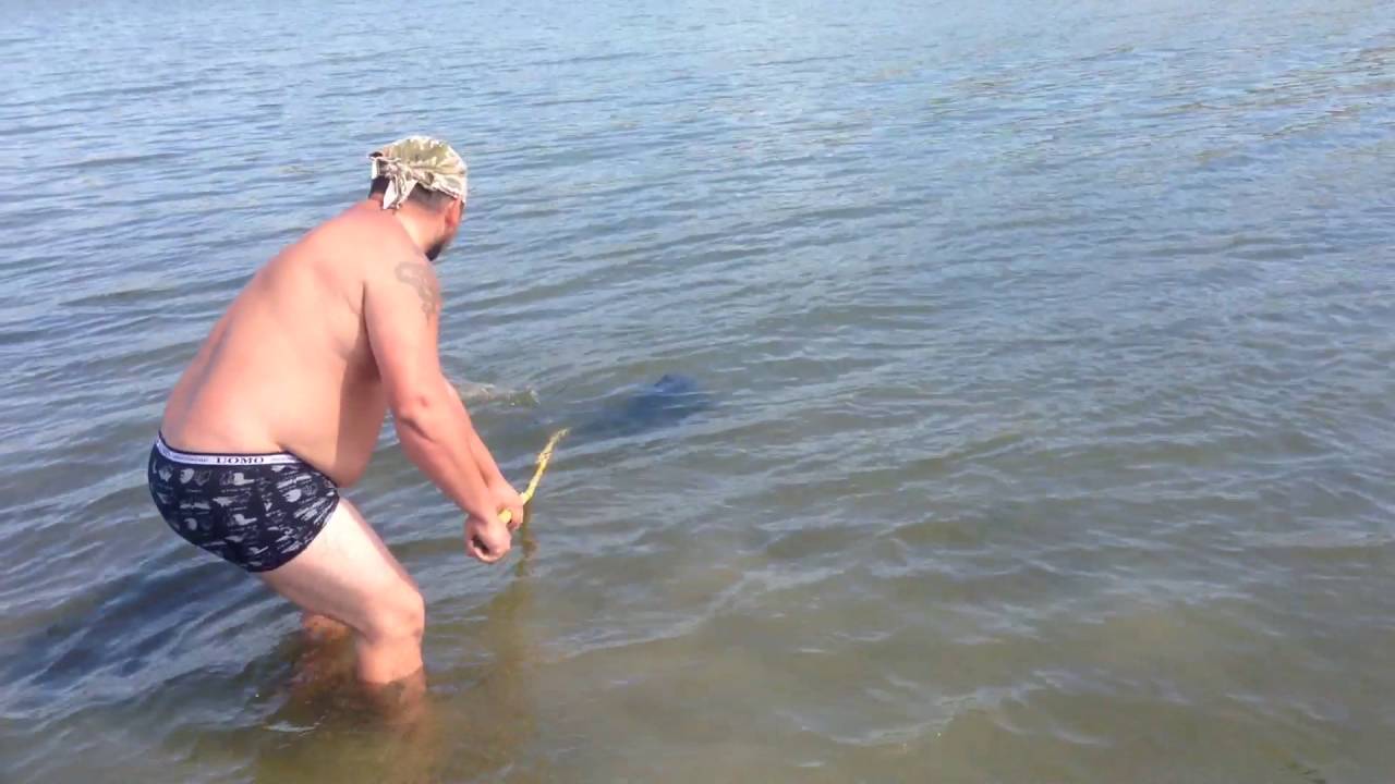 Карпфішінг на річці Дністер біля села Вороновиця