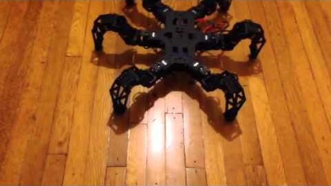 Hexapod with Phoenix Code