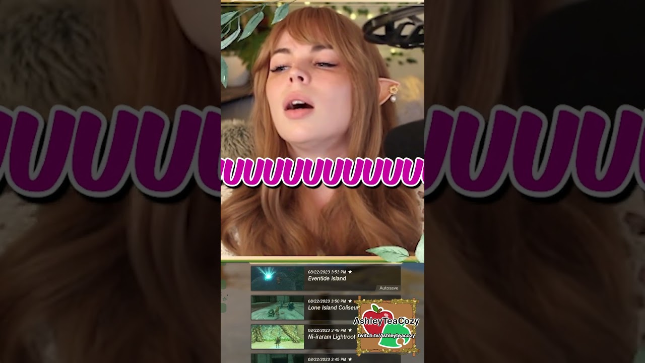 enough said #zelda #tearsofthekingdom #totk #clip #highlight #funny