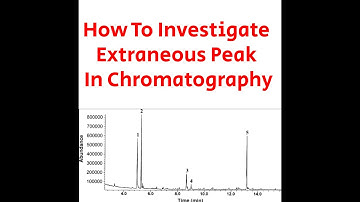 How to Investigate Extraneous peak in Chromatography?