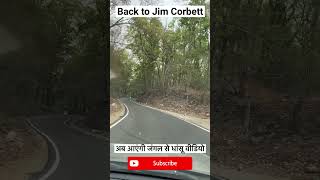 Jim Corbett Man eater Tiger Territory Drive | Jim Corbett Tiger Attack | Jim Corbett Story #shorts