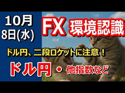 【TAKA FX】二段ロケットに気を付けて！　ドル円他各通貨の環境認識解説。各種指数、GOLDなど　10月8日(水)
