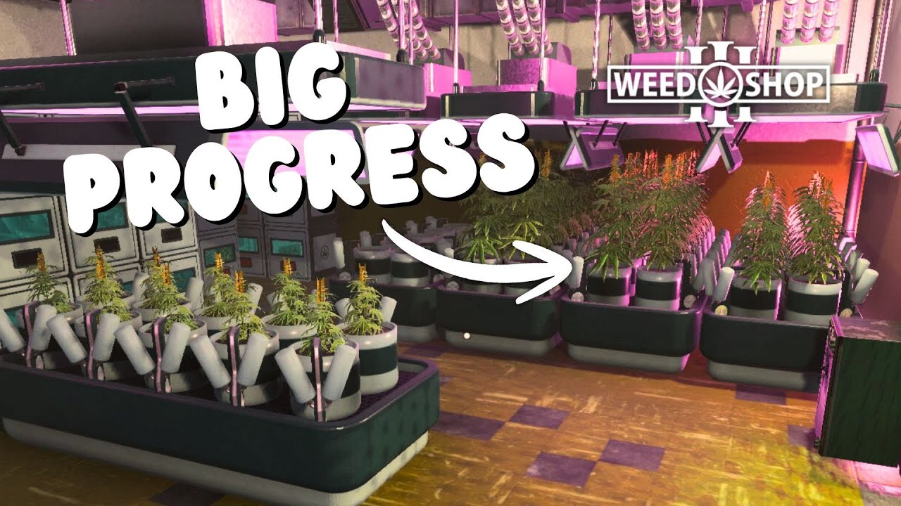 From Struggling to Thriving 🌱 Big Progress in Weed Shop 3