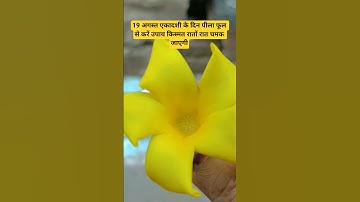 19 अगस्त एकादशी के दिन करें उपाय #pradeepmishrajidhankeupay #upay