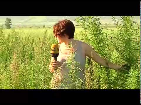 პანორამა ანონსი. ნახეთ 27 ივლისს 20:00 საათზე