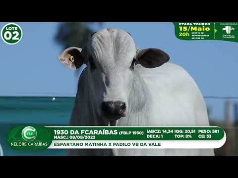LOTE 02   FBLP 1930