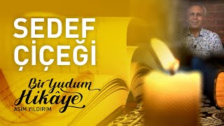 SEDEF ÇİÇEĞİ | BİR YUDUM HİKÂYE | ASIM YILDIRIM Resimi