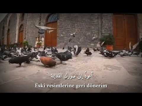 م رار ة الف قد   موسيقى ناي حزين شعر مترجم  حماة حالات واتساب