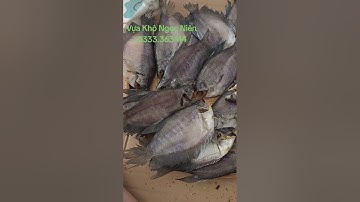 Quy Trình Ðóng Gói Cá Khô Nhà Em . Ngọc Niên Vlog .. 0333.363.114 (Niên) Duy Nhât Sô Chôt Ðơn..