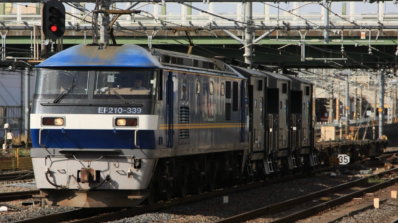 10/18 隅田川駅貨物フェスティバル 2025開催に伴うヨ8000送り込み回送　EF210-339＋ヨ8803＋ヨ8891＋ヨ8450＋コキ104-2346＋コキ104-473 大宮駅通過