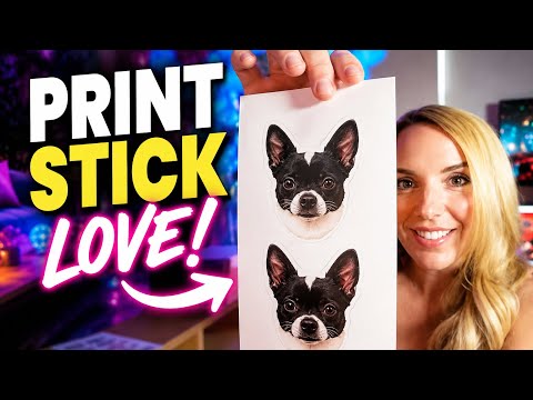 Liene PixCut S1 Inspire Kit All in One Color Sticker Printer & Cutting Machine