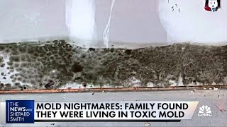 Toxic mold devastates family, causes myriad health problems Resimi