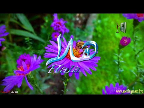 ما معنى اسم هلا وبعض من صفات حاملة هذا الاسم على قناة معاني الاسماء 