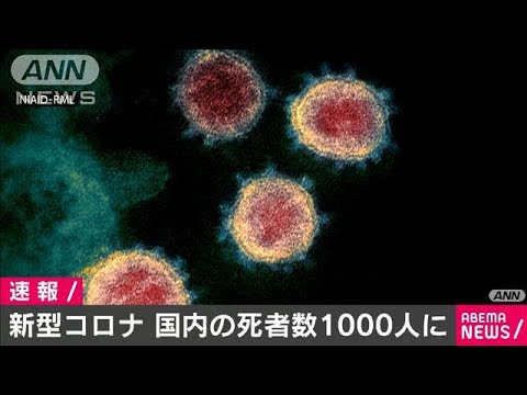 新型コロナ　国内の死亡者1000人に　クルーズ船含め(20/07/20)