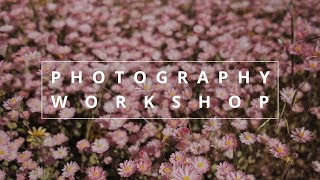 What Are The Benefits Of A Photography Workshop Landscape Photography Workshops Australia