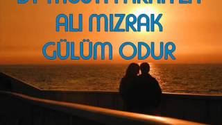 ALI MIZRAK-GÜLÜM ODUR Resimi