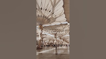 سورة طه {الآية 105} بصوت عذب ❤️❤️