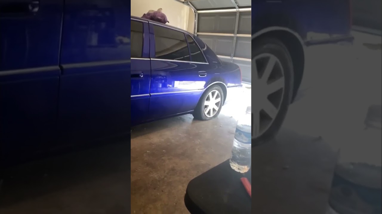 👀 true to it not New to it . Music an interior shop fuxx it 