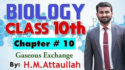 Gaseous Exchange | Chapter # 10 | Biology Class 10th|Lec#1