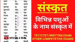 ️विभिन्न पशुओं के नाम संस्कृत में|| NAME OF ANIMALS IN SANSKRIT||68500 लिखित परीक्षा