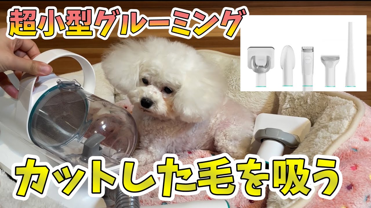 今話題のトリミングに最適なペット用グルーミングが凄すぎた