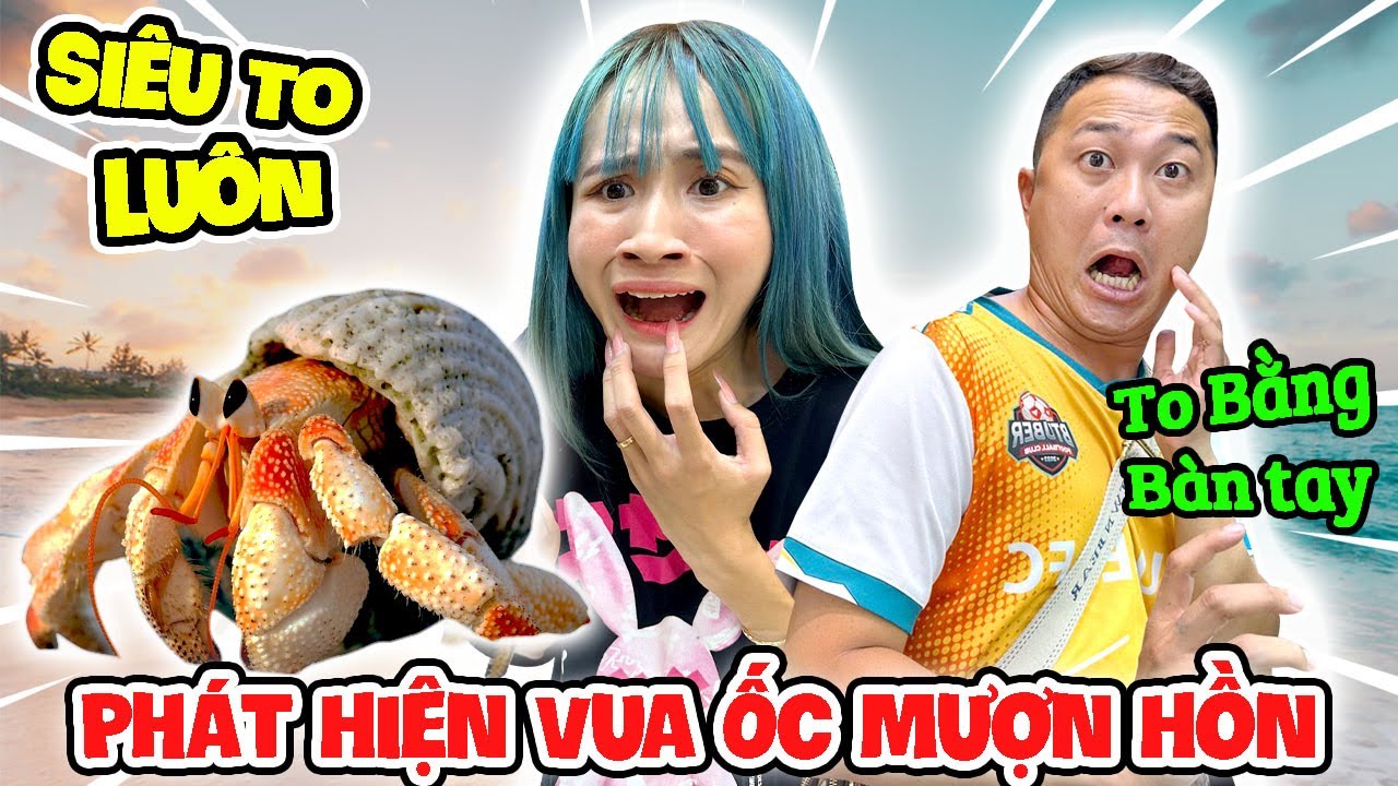 Vua Ốc Mượn Hồn Khổng Lồ Có 1 Không 2 Tại Việt Nam - Vê Vê Animal