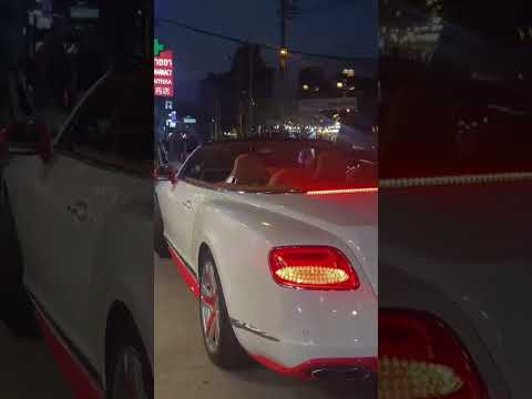 Lion spotted riding in Bentley