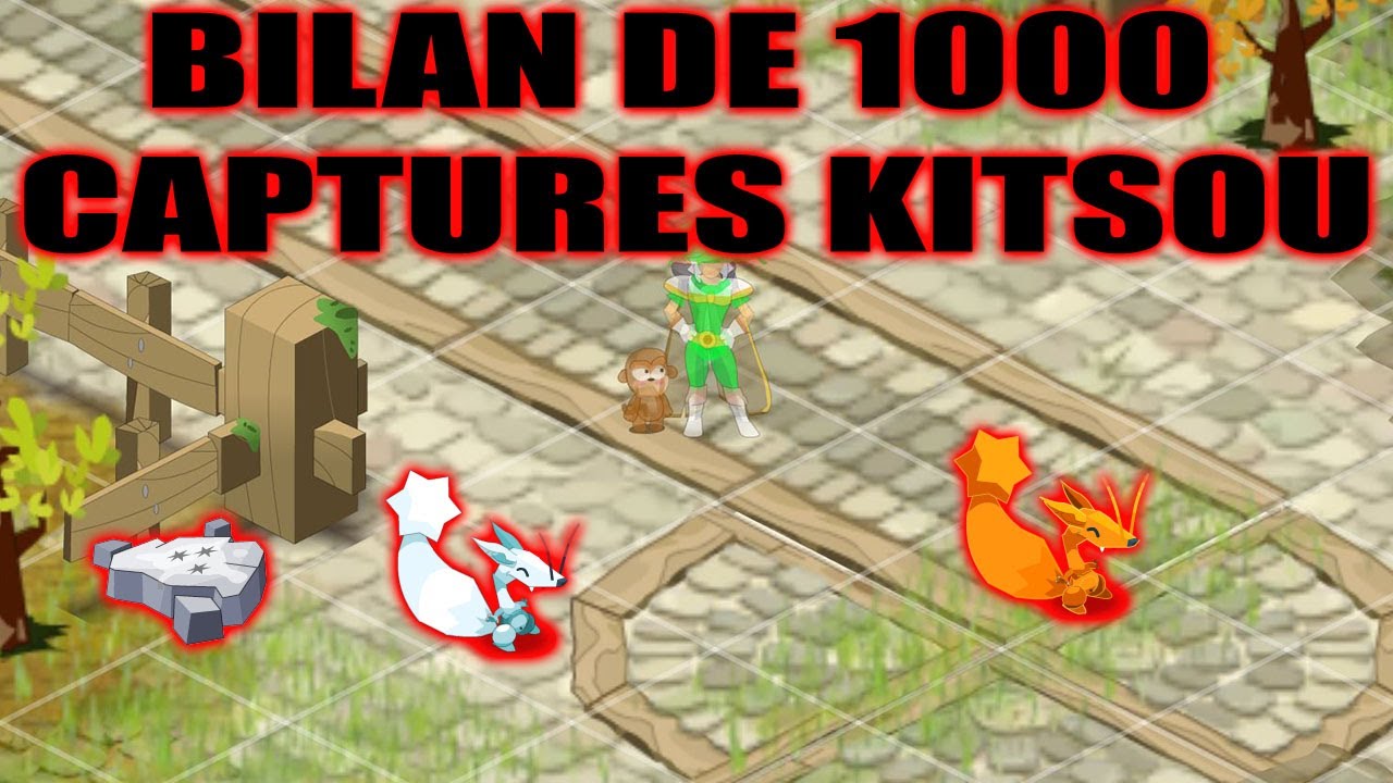 DOFUS RETRO: BILAN DE 1000 CAPTURES KITSOU! (plus jamais je fm des coiffes kitsou)