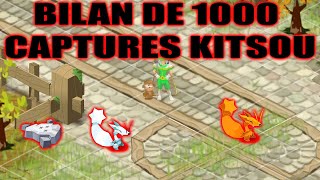 Dofus Retro Bilan De 1000 Captures Kitsou Plus Jamais Je Fm Des Coiffes Kitsou
