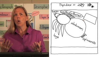 2-3 Informative/Explanatory Content Vocabulary Diagrams