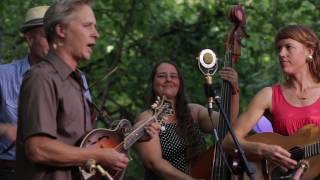 Foghorn Stringband - Fall On My Knees - Edge Sessions @Pickathon 2016 S03E06 chords