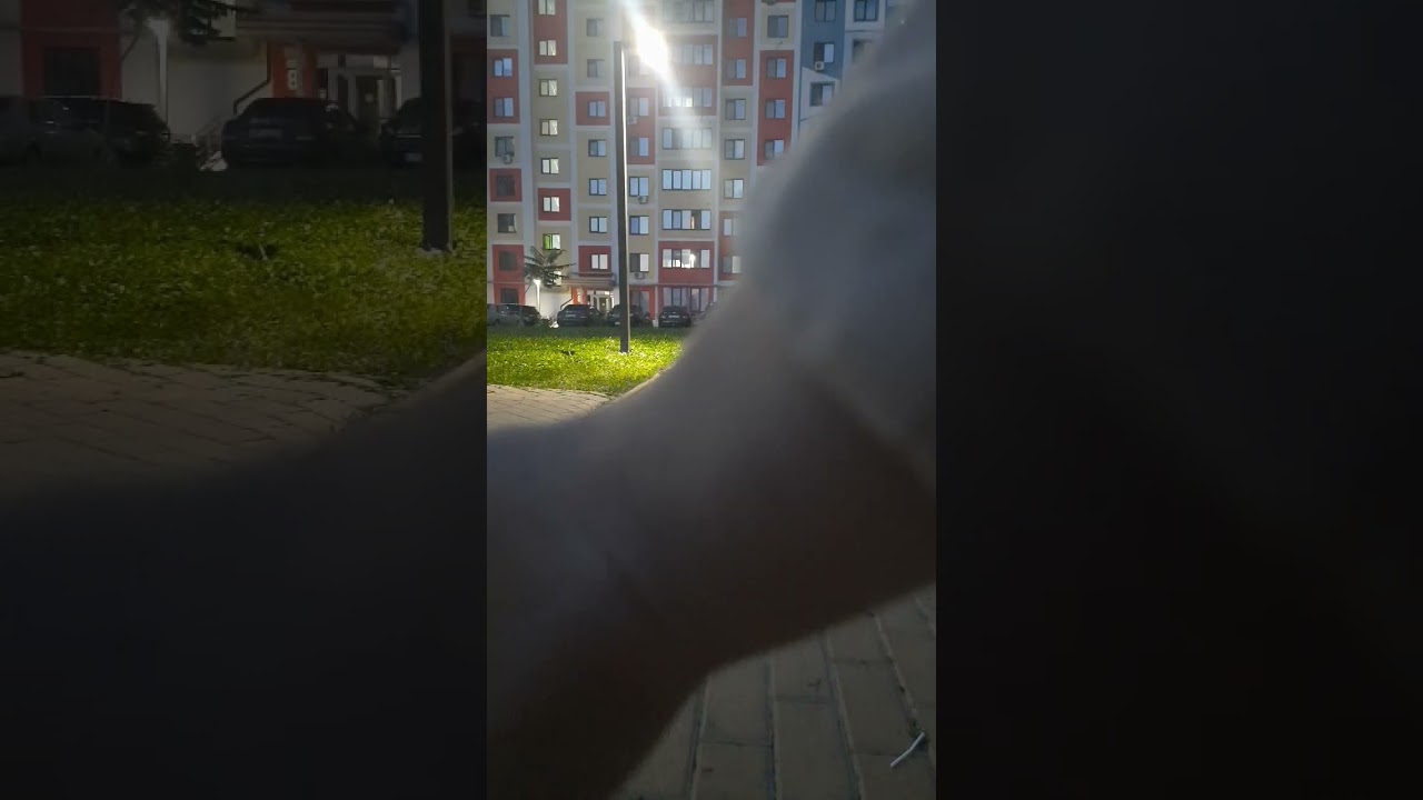 24 августа 2024 г.