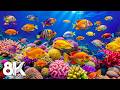 The Best Underwater World 8K Ultra HD — Amazing Aquarium Fish, Ocean Sounds for Sleep, Stress Relief