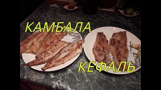 КЕФАЛЬ И КАМБАЛА - БЕЗ ЗАМОРОЧЕК КЕФАЛЬ И КАМБАЛА - БЕЗ ЗАМОРОЧЕК