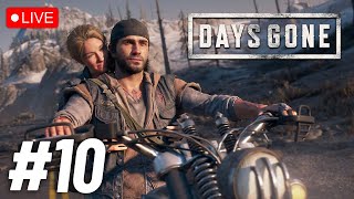 Days Gone - Can I Survive in Zombieland? 🔴 Live Stream