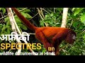 Spectres of the jungle     africa wildlife hindi documentry