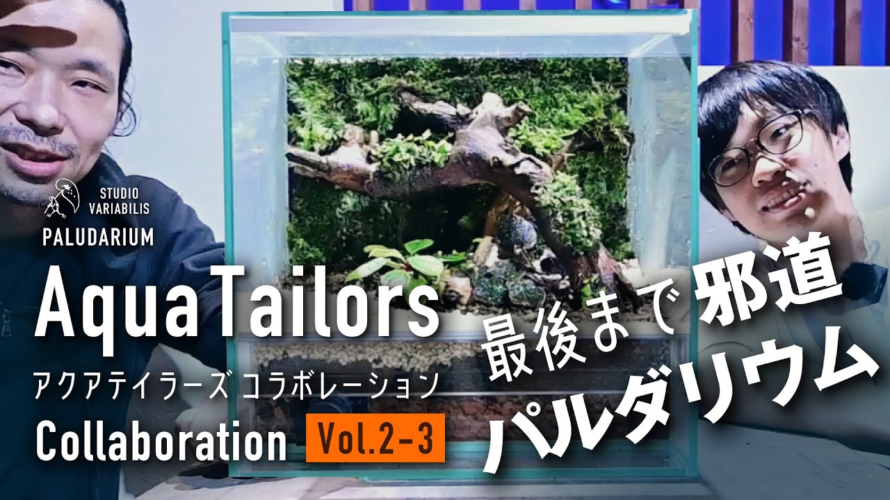 Aqua Tailors コラボ 2 - ③ 最後まで邪道 人工資材パルダリウム