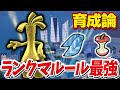 【育成論】ランクマのルール変更により間違いなくサーフゴーが環境トップになりました【ポケモンSV】