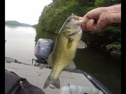 07/24/2026 Normandy Bass Fishing Trip – 12 buzzbait bass