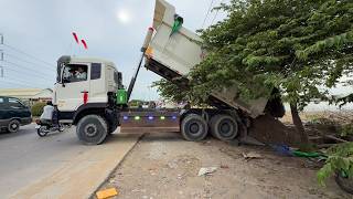 Interesting!!SHANTUI Bulldozer Pushing Stone Into Water With 10 Wheel Dump Trucks Transport Stone