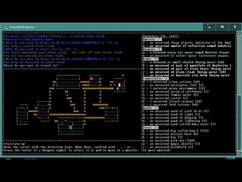 Let's Play NetHack Fourk, Episode Twelve, Holy Water and a Dragon - YouTube