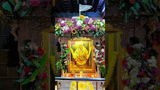 साई 🥺🌍 #saibaba #shirdisaiaarti #live #शिर्डी #love #shirdisaibabadevotees #shirdisaibaba#shirdi