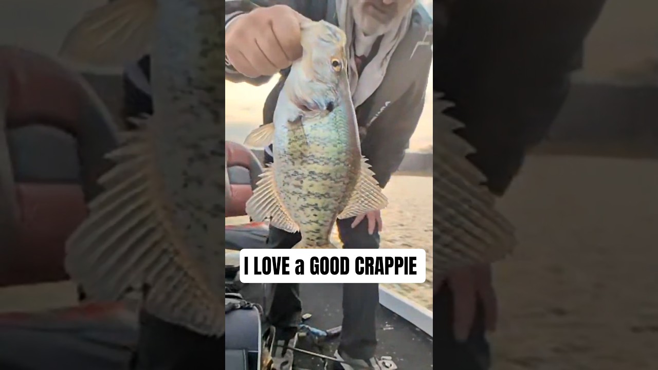 Crappie Catch: This Slab was Stalking Me #shorts #fishing