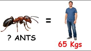 How Many Ants= Average Human Weight