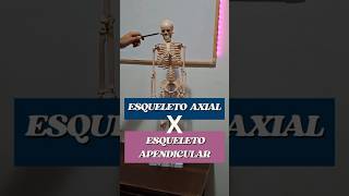Sistema Esquelético: Diferença entre Esqueleto AXIAL e APENDICULAR #anatomia