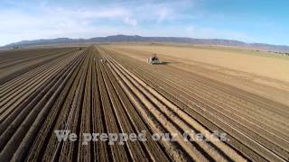 Growing with Grimmway Farms: Harvesting Our Fresh Produce Together