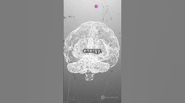 Why is your brain always trying to predict the future? #brain #psychology #neurology #shorts