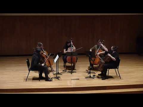 Kaitlyn Raitz - Oblivion (live at WKU)