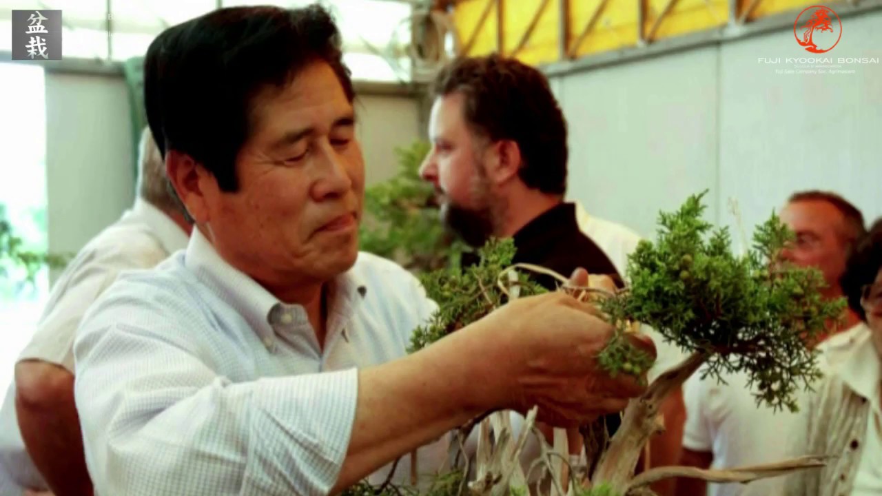 Masahiko Kimura bonsai demonstration at Fuji Sato company AgriMasiero - by Massimo Bandera